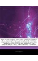 Articles on New Deal in Illinois, Including
