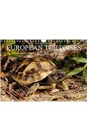European Tortoises / UK-Version 2018
