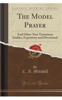 The Model Prayer: And Other New Testament Studies, Expository and Devotional (Classic Reprint)