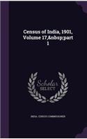 Census of India, 1901, Volume 17, part 1