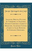 Isagogae, Breues, Plucide AC Uberrime, in Anatomia Humani Corporis a Comun I Medicoru, Academia Usitata a Carpo in Almo Bononie Si Gymnasio Ordinaria (Classic Reprint)