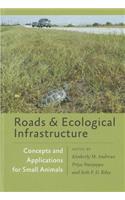 Roads and Ecological Infrastructure