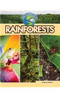 World Biomes: Rainforests