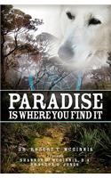 Paradise is Where You Find It