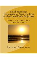Small Businesses Techniques for Start Up, Cost Analysis, and Profit Projection