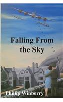 Falling From The Sky