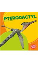 Pterodactyl