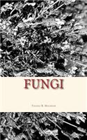 Fungi
