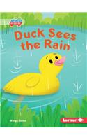 Duck Sees the Rain