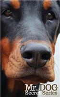 Mr. Dog