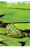 Lillypad Frog Notebook: Blank Journal Diary Log(46 Wildlife 150 Lined)