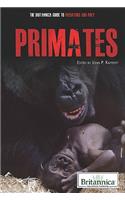 Primates