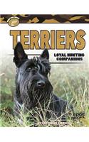 Terriers