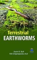TERRESTRIAL EARTHWORMS