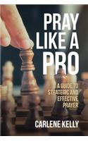 Pray Like A Pro: A Guide To Strategic and Effective Prayer