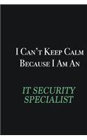 I cant Keep Calm because I am an IT Security Specialist: Writing careers journals and notebook. A way towards enhancement