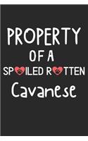 Property Of A Spoiled Rotten Cavanese