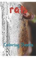 Rat Coloring Sheets: 30 Rat Drawings, Coloring Sheets Adults Relaxation, Coloring Book for Kids, for Girls, Volume 10