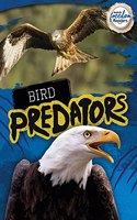 Bird Predators: (BookLife Freedom Readers)
