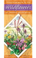 Illustrated Guide to the Wildflowers of Northern South Africa