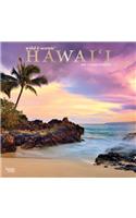 Hawaii Wild & Scenic 2020 Square Foil