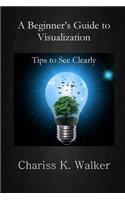 Beginner's Guide to Visualization