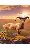 Mouflon Notebook: Notebook Journal 8.5 X 11 202 Lined Pages