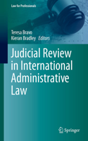 Judicial Review in International Administrative Law