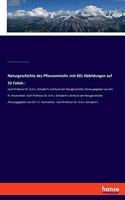 Naturgeschichte des Pflanzenreichs