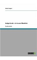 Hedge-Fonds - ein kurzer Überblick