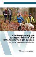 Familienplanung bei suchtgefährdeten und verhaltensauffälligen Jungen: (German)