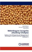 Meloidogyne incognita attacking Chickpea