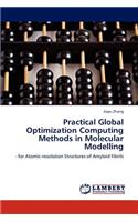 Practical Global Optimization Computing Methods in Molecular Modelling