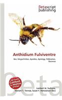 Anthidium Fulviventre: (English)