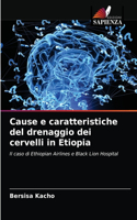 Cause e caratteristiche del drenaggio dei cervelli in Etiopia