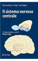 Il Sistema Nervoso Centrale