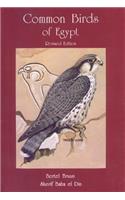 Common Birds of Egypt