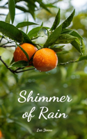 Shimmer of Rain