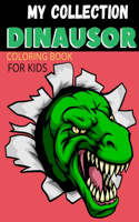 My Collection Dinausor Coloring Book For Kids