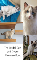 Ragdoll Cats and Kittens Colouring Book