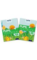 Inspire Maths: Pupil Book 4 AB (Mixed Pack): (Inspire Maths)