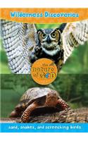 Wilderness Discoveries, Volume 1