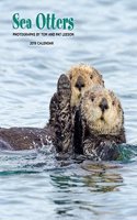 Sea Otters 2019 Wall Calendar