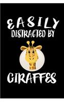 Easily Distracted By Giraffes: Animal Nature Collection