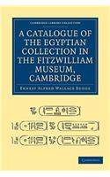 Catalogue of the Egyptian Collection in the Fitzwilliam Museum, Cambridge