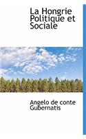 La Hongrie Politique Et Sociale