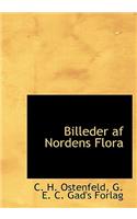 Billeder AF Nordens Flora
