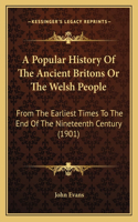 Popular History Of The Ancient Britons Or The Welsh People