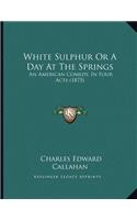 White Sulphur Or A Day At The Springs