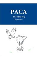 PACA The litlle dog